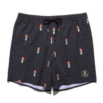 Boardshorts ROARK