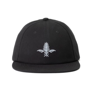 SILVER FERN 6 PANEL